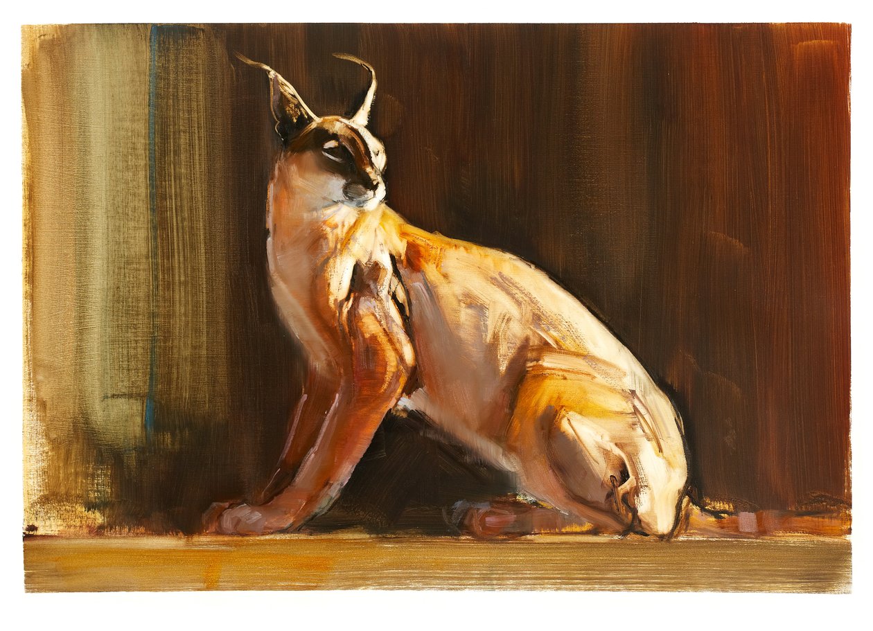Karakal arabski, 2010 (olej na papierze) autorstwa Mark Adlington