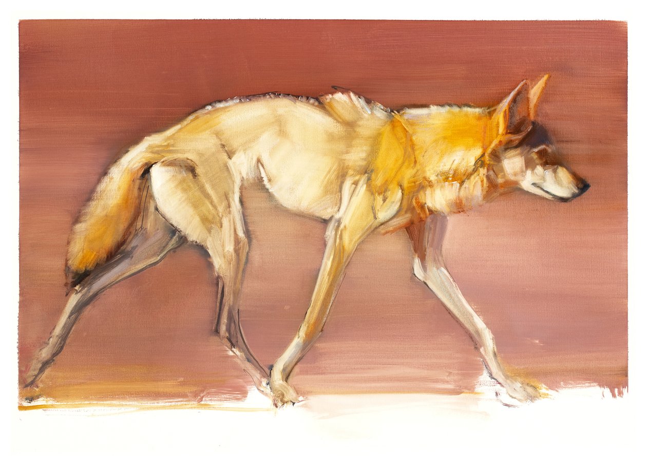 Wilk Arabski, 2010 (olej na papierze) autorstwa Mark Adlington