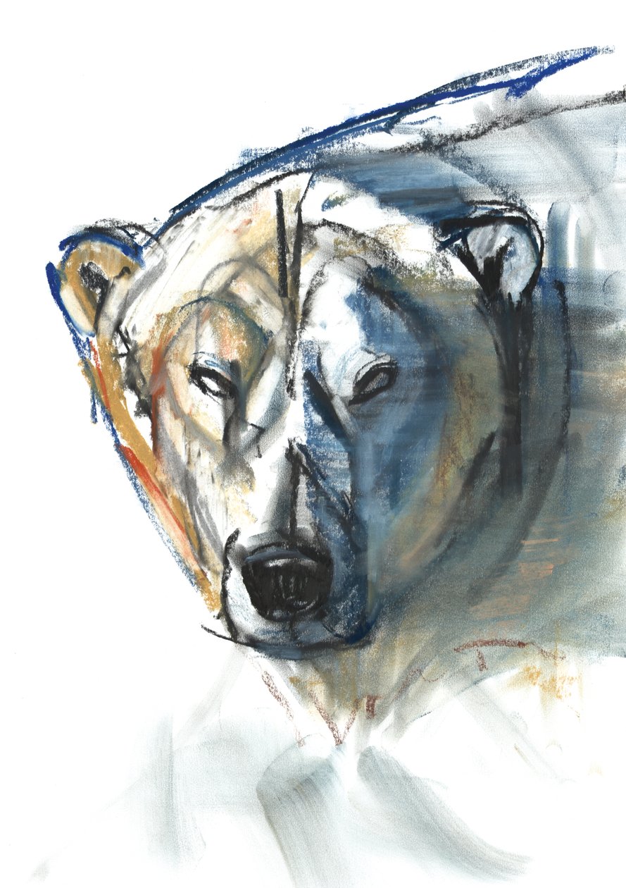 Ikona Arktyki, 2015, (conté i pastel na papierze) autorstwa Mark Adlington