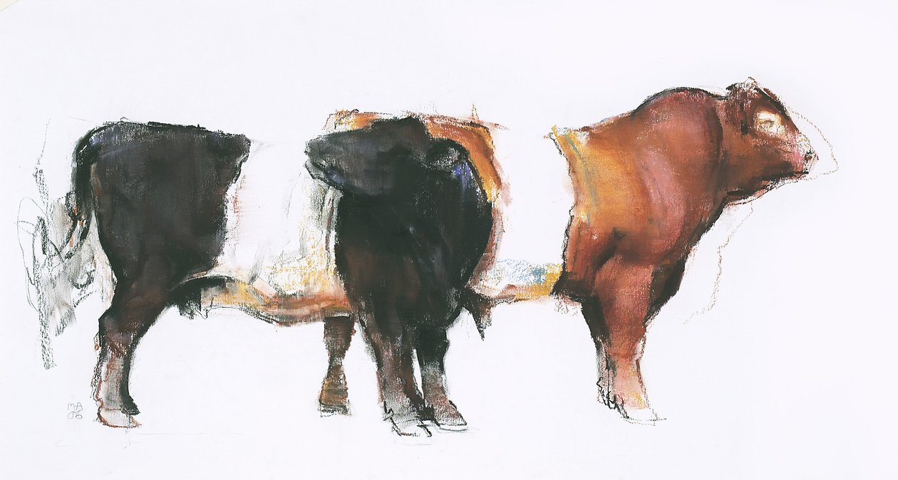 Belties, 2006 (węgiel i conte na papierze) autorstwa Mark Adlington