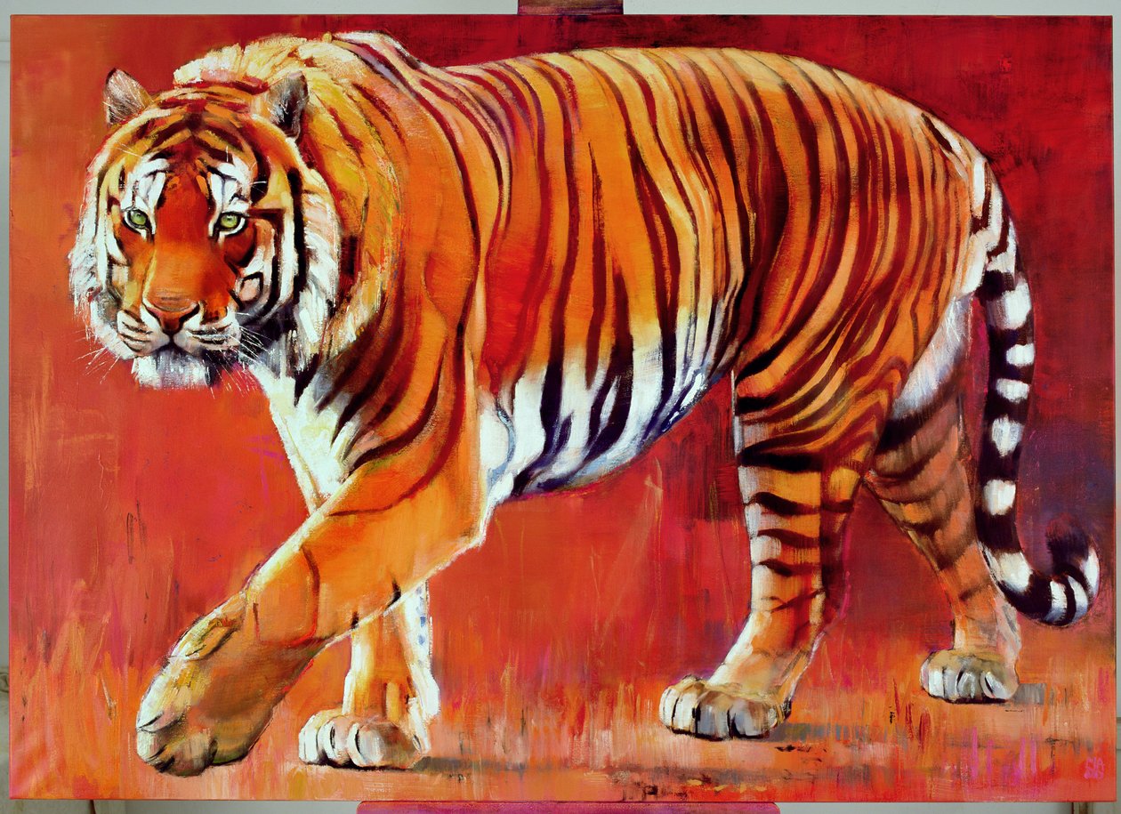 Tygrys bengalski autorstwa Mark Adlington