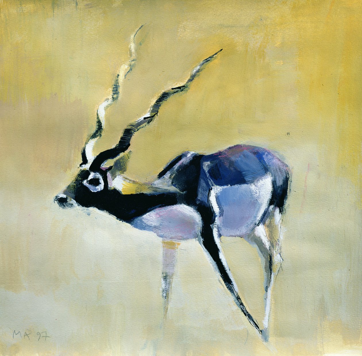 Black Buck, Velavadar, 1997 (media mieszane na papierze) autorstwa Mark Adlington