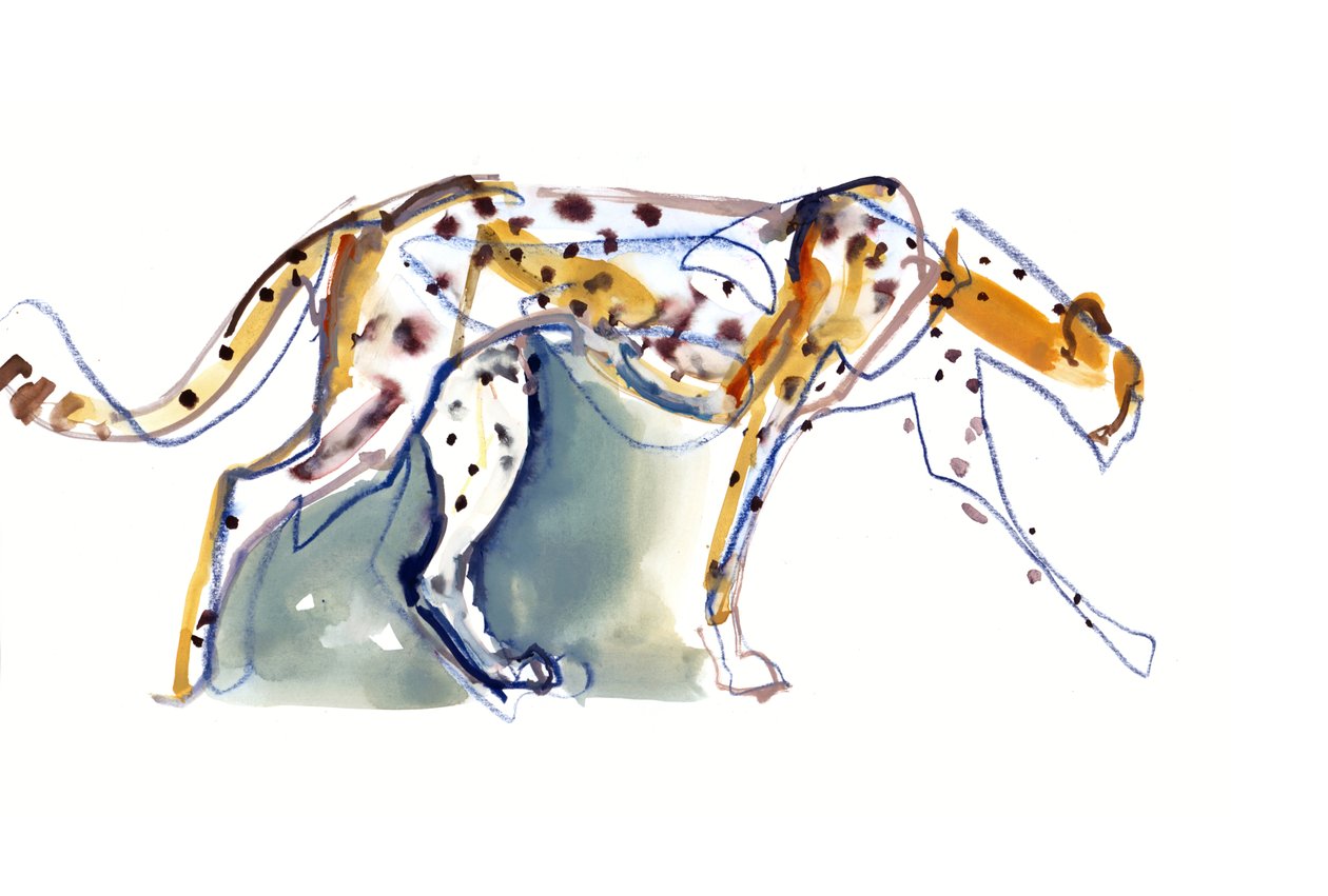Gepard, 2022 autorstwa Mark Adlington