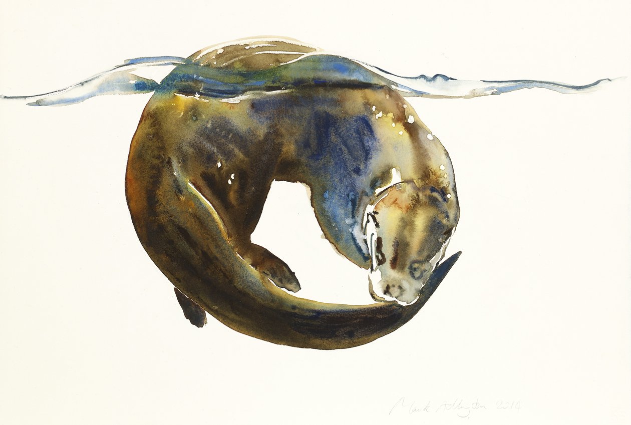 Koło życia, 2014, (akwarela na papierze) autorstwa Mark Adlington