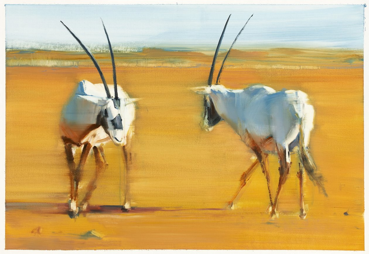Krążący Arabian Oryx, 2010 (olej na papierze) autorstwa Mark Adlington