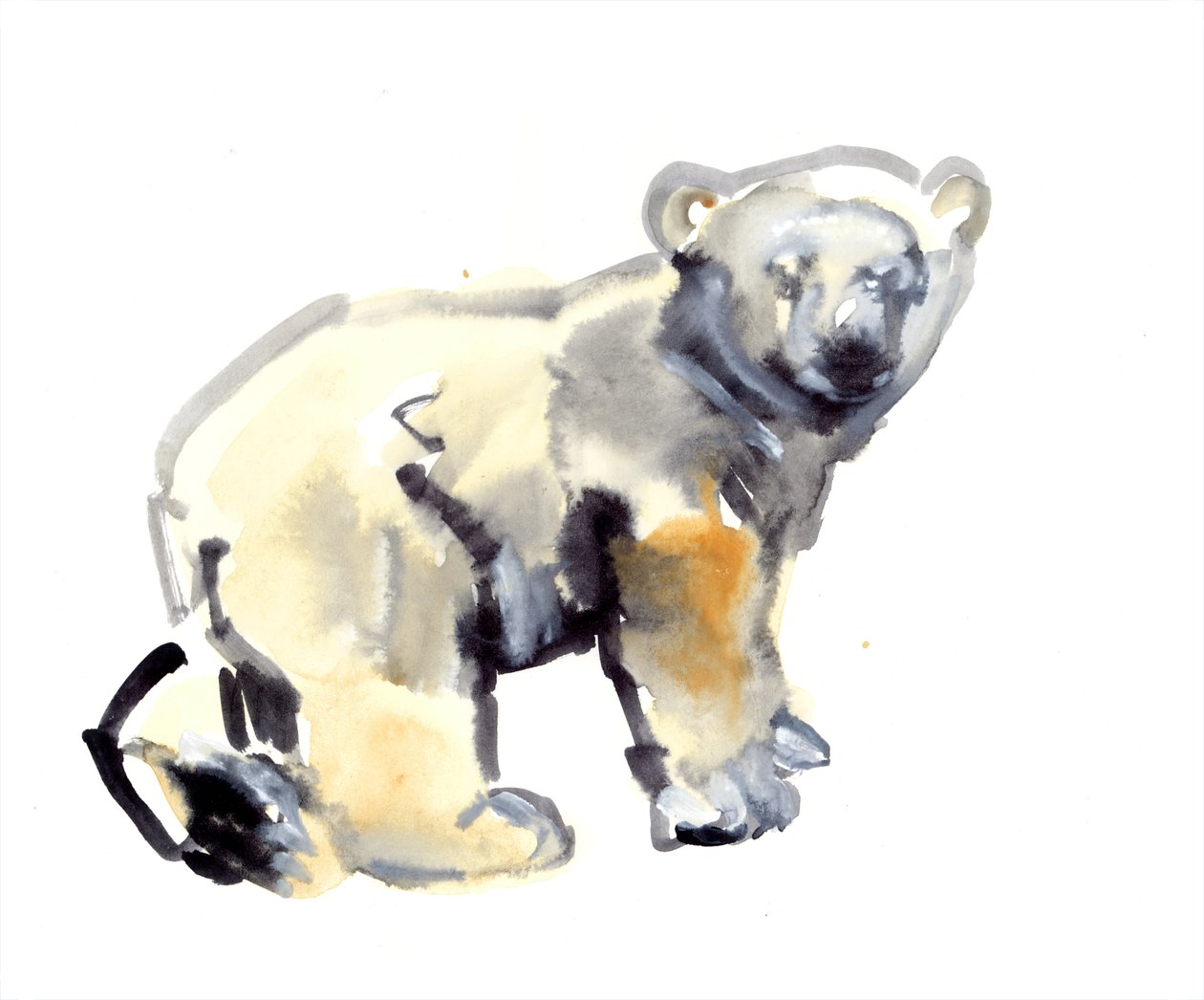 Cub, 2015, (akwarela i gwasz na papierze) autorstwa Mark Adlington