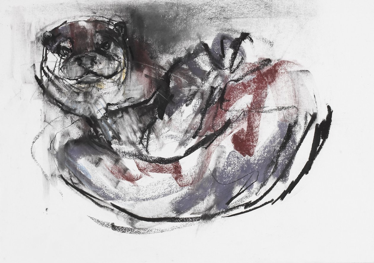 Pies Wydra (węgiel i conte na papierze) autorstwa Mark Adlington