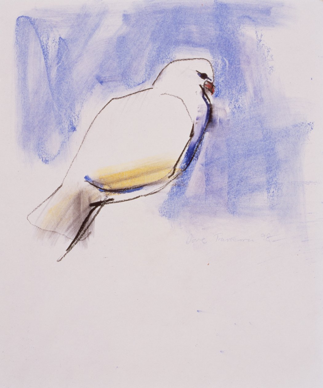 Dove, Trasierra, 1998 (grafit, węgiel i conte na papierze) autorstwa Mark Adlington