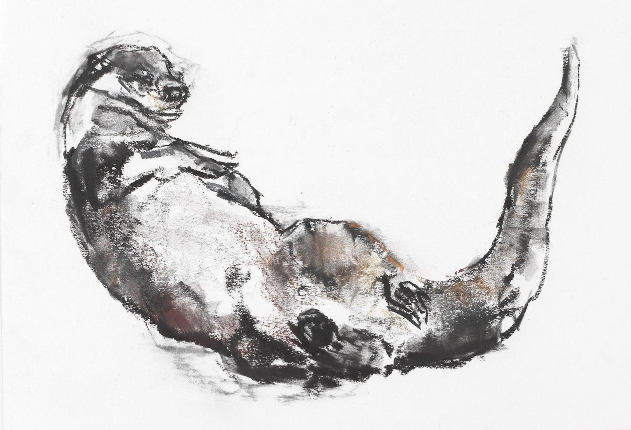 Suszenie (węgiel i zawartość na papierze) autorstwa Mark Adlington