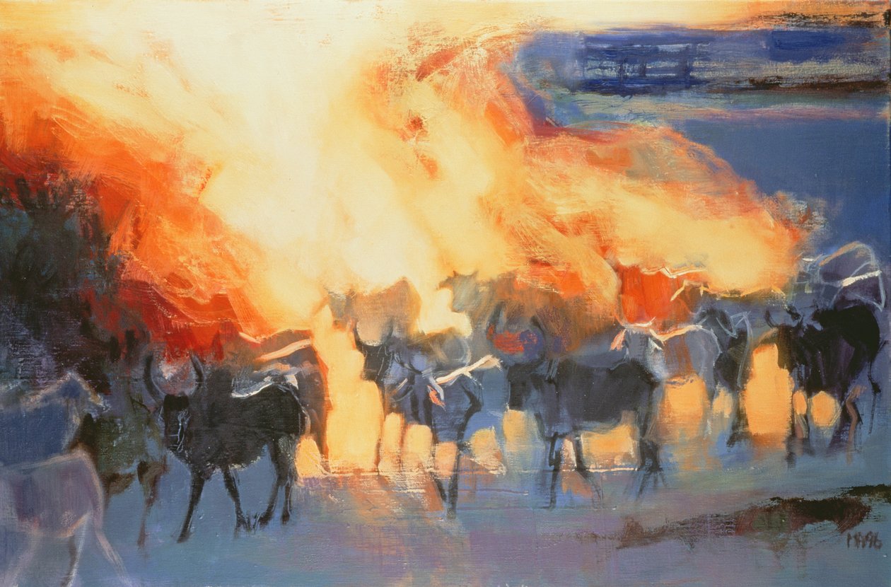 Chmura pyłu, Drung, 1996 autorstwa Mark Adlington