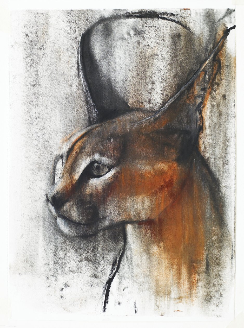 Egipski (karakal arabski), 2009 (conte und węgiel na papierze) autorstwa Mark Adlington