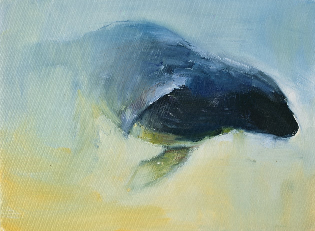 Wschodzące, 2003 autorstwa Mark Adlington