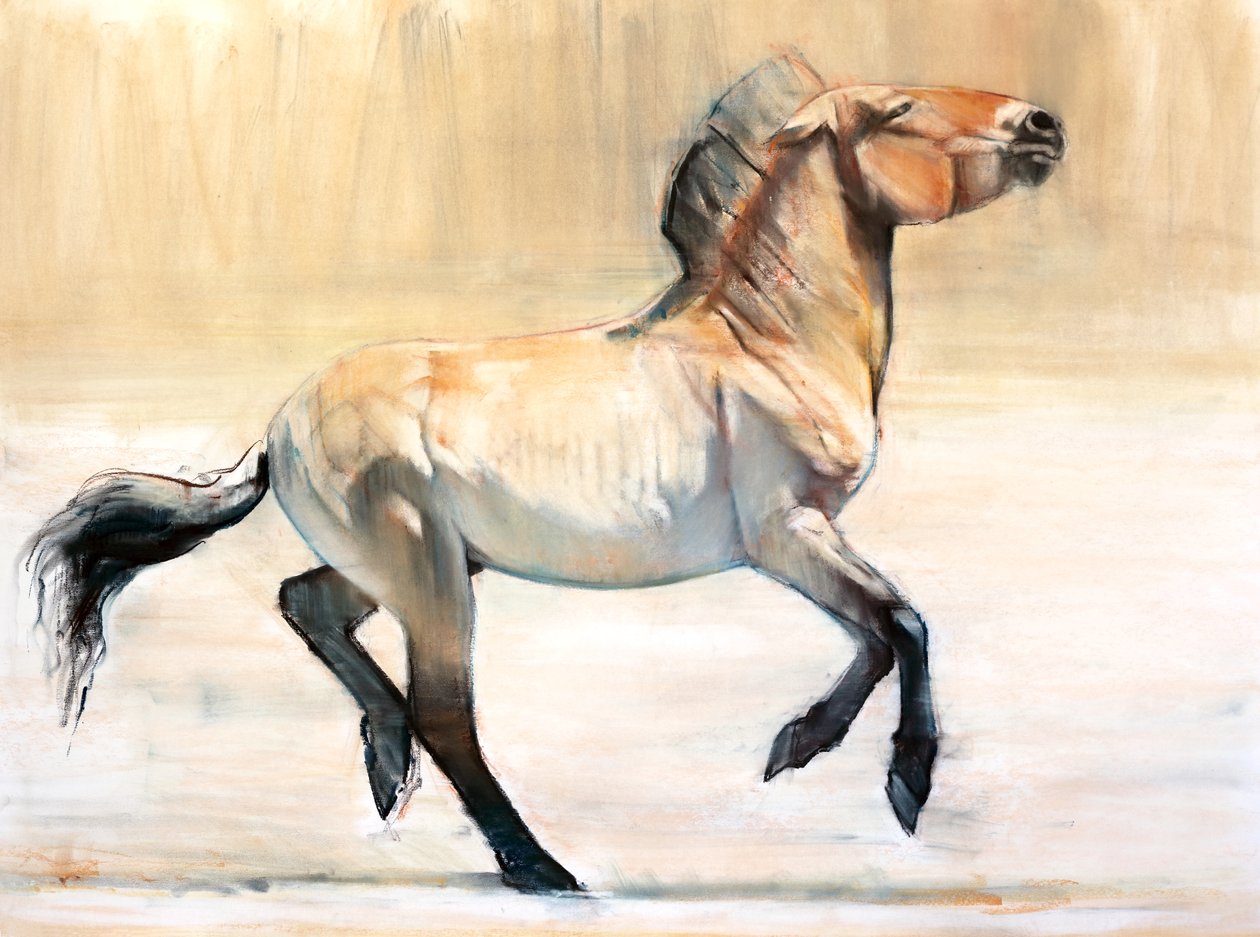 Equus (Przewalski), 2014, (pastel i węgiel na papierze) autorstwa Mark Adlington