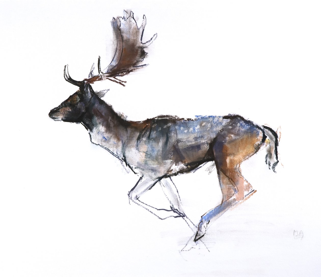 Evening Buck (daniele), 2007, (pastel i conté na papierze) autorstwa Mark Adlington