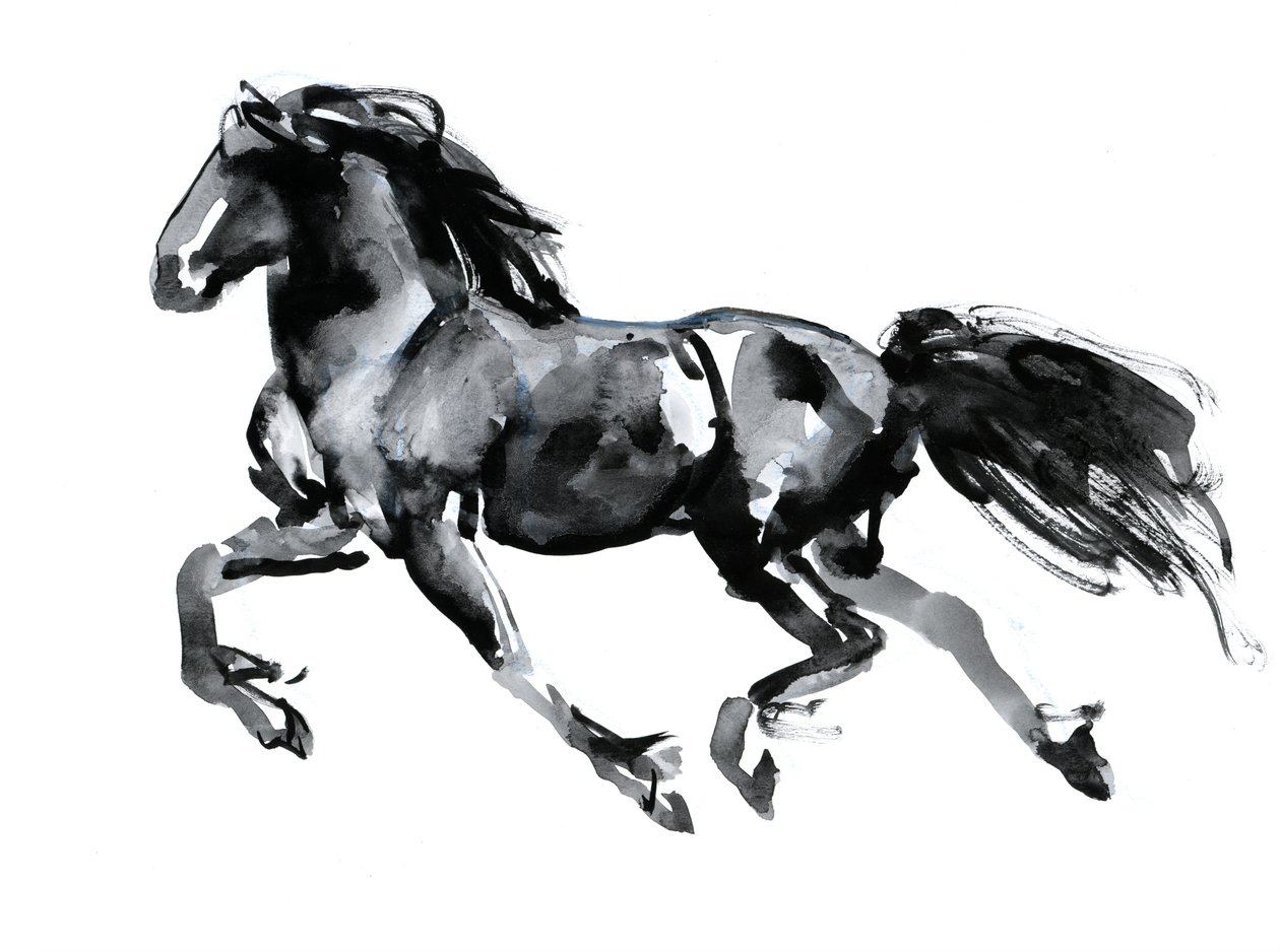 Flying Friesian, 2015, (chiński tusz na papierze) autorstwa Mark Adlington