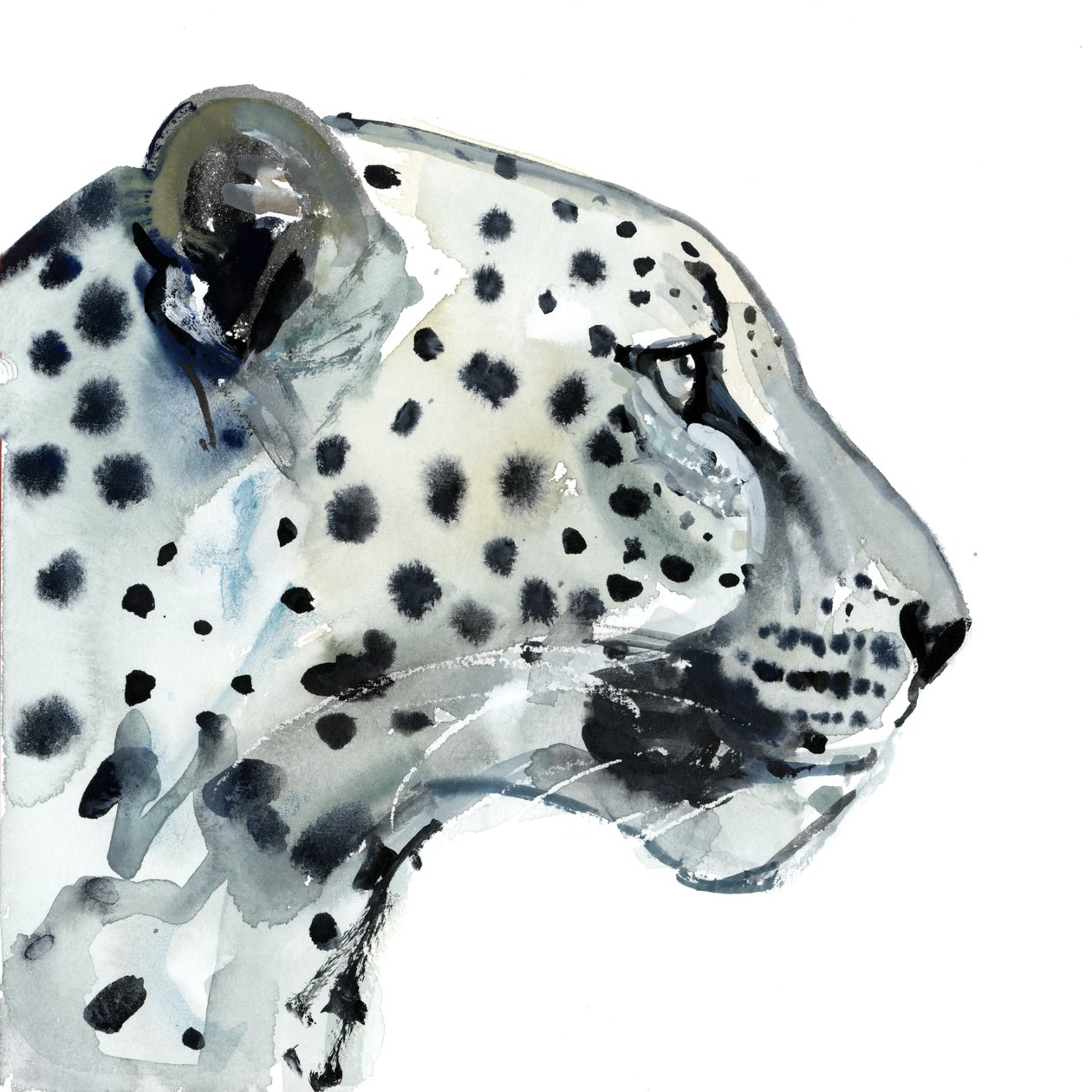 Focus, 2015, (akwarela na papierze) autorstwa Mark Adlington