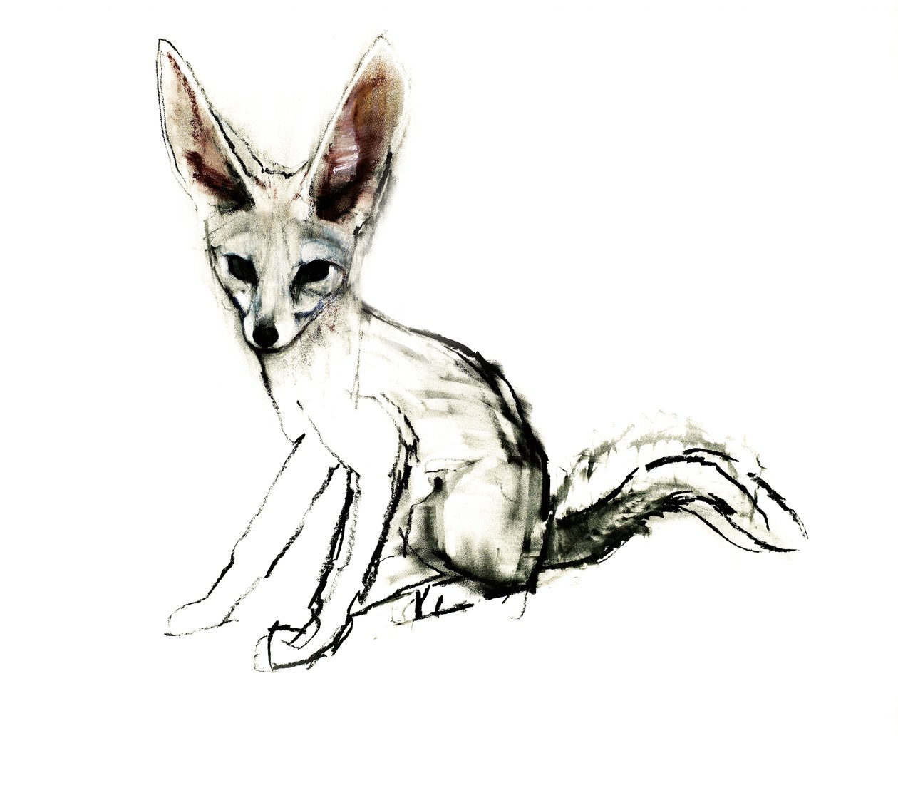 Foxy (Sand Fox), 2009 (konta i węgiel na papierze) autorstwa Mark Adlington