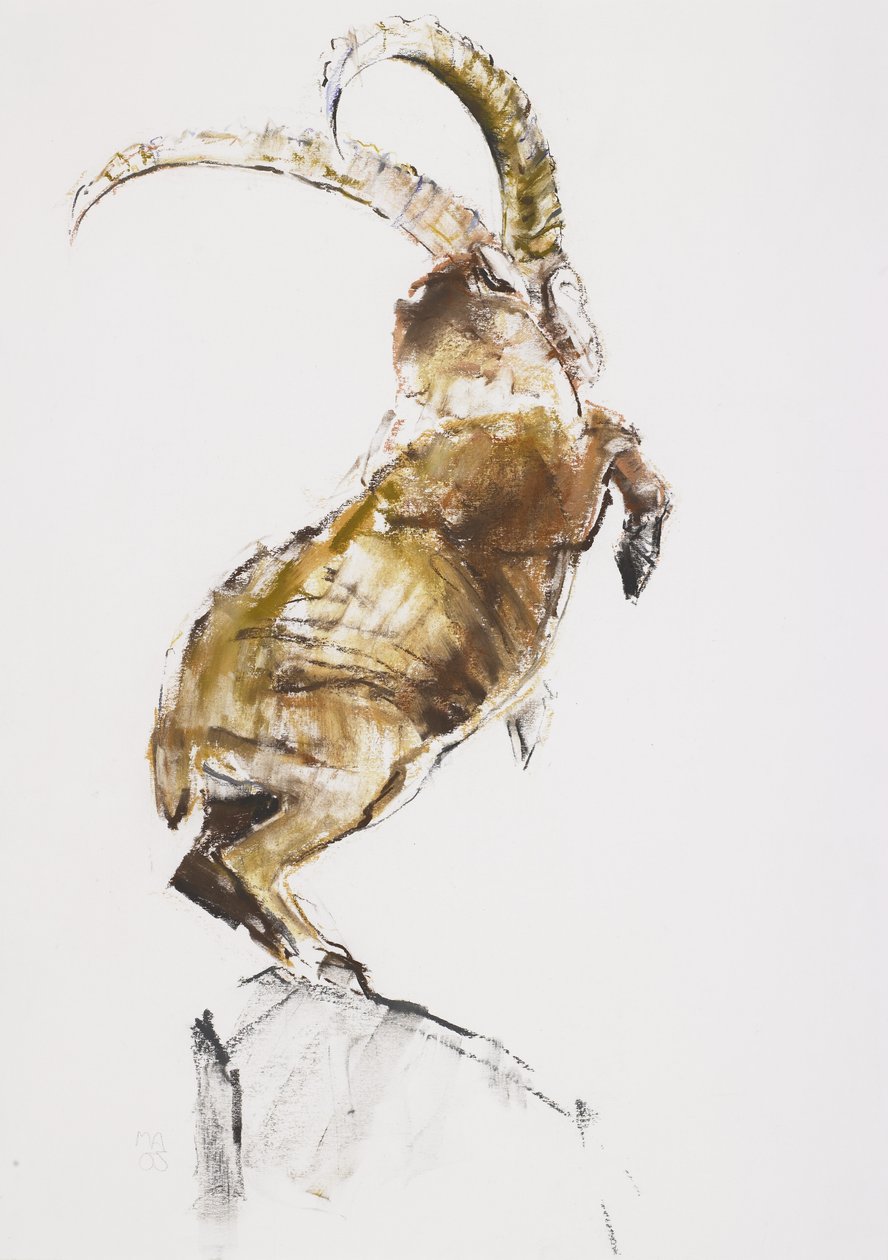 King of the Mountain, 2005 (węgiel i conte na papierze) autorstwa Mark Adlington