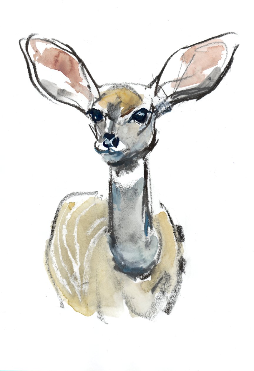 Kudu Jelonek, Sarara, 2018 autorstwa Mark Adlington