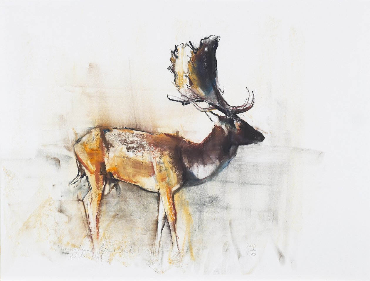 Magnificent Fallow Buck, 2006 (węgiel i conte na papierze) autorstwa Mark Adlington