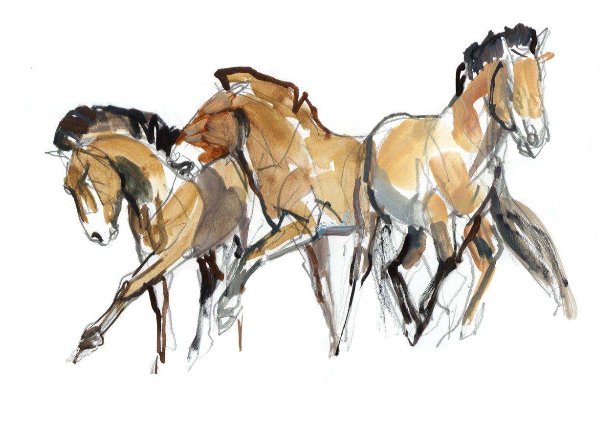 Mistral Three (Przewalski), 2013 (tusz Sennelier, akwarela i gwasz) autorstwa Mark Adlington