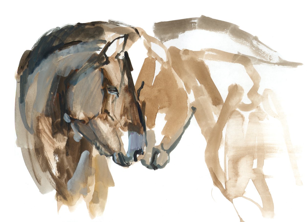 Nos w nos (Przewalski), 2013 (tusz sennelier, akwarela i gwasz) autorstwa Mark Adlington