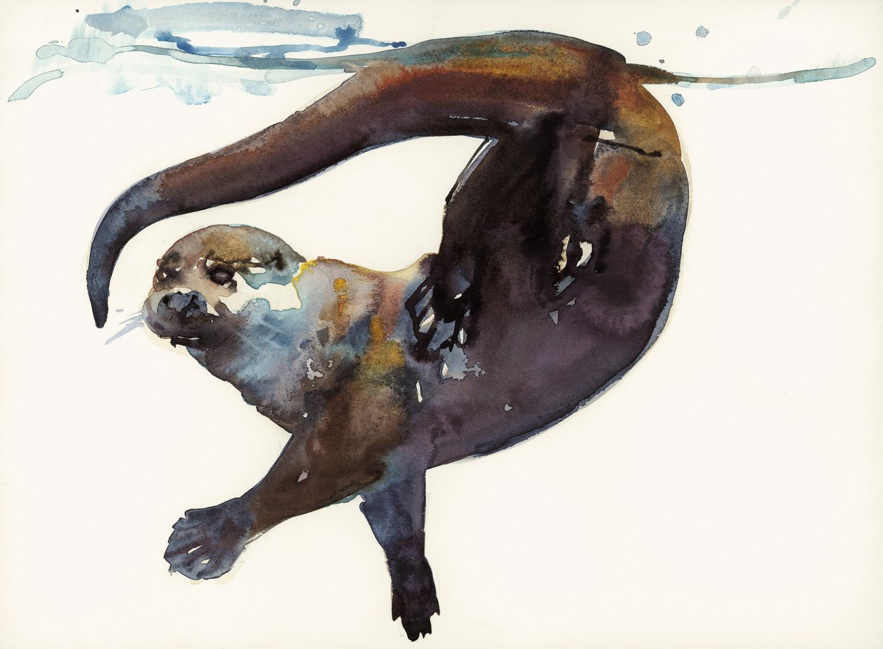 Studium Wydry II – „Talisker” autorstwa Mark Adlington