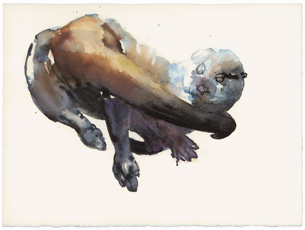 Studium wydry I – „Talisker” autorstwa Mark Adlington