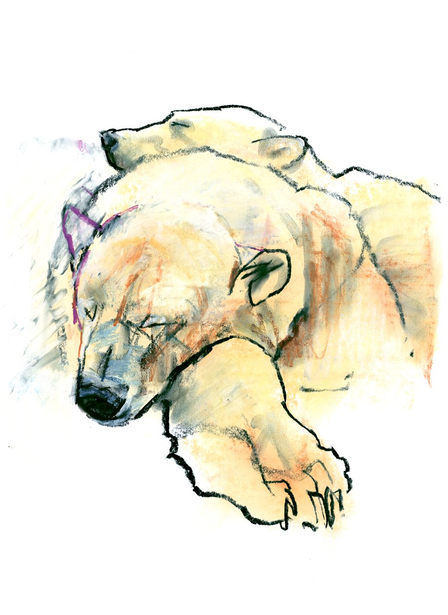Poduszka, 2016 autorstwa Mark Adlington