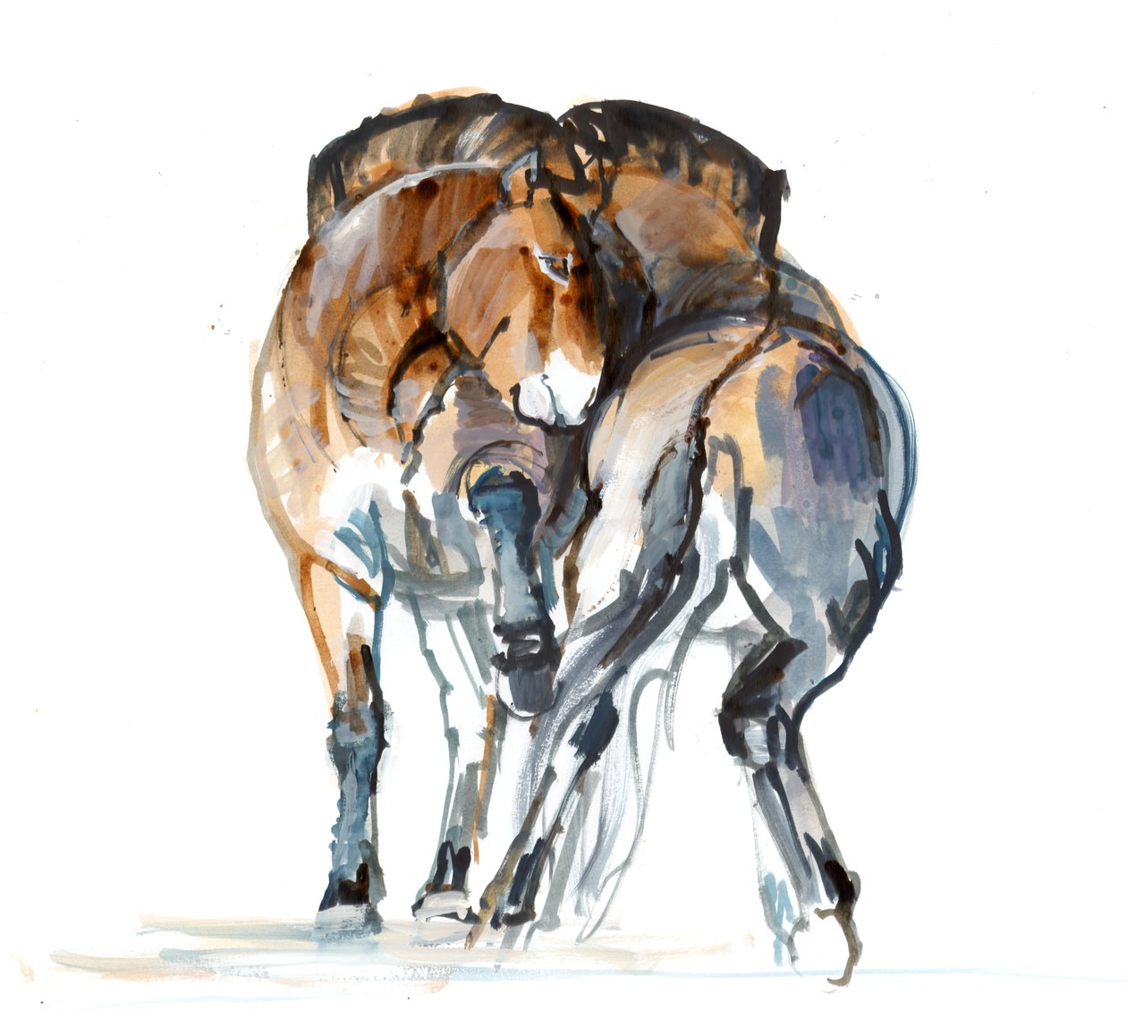 Power Dance (Przewalski), 2013 (tusz Sennelier, akwarela i gwasz) autorstwa Mark Adlington