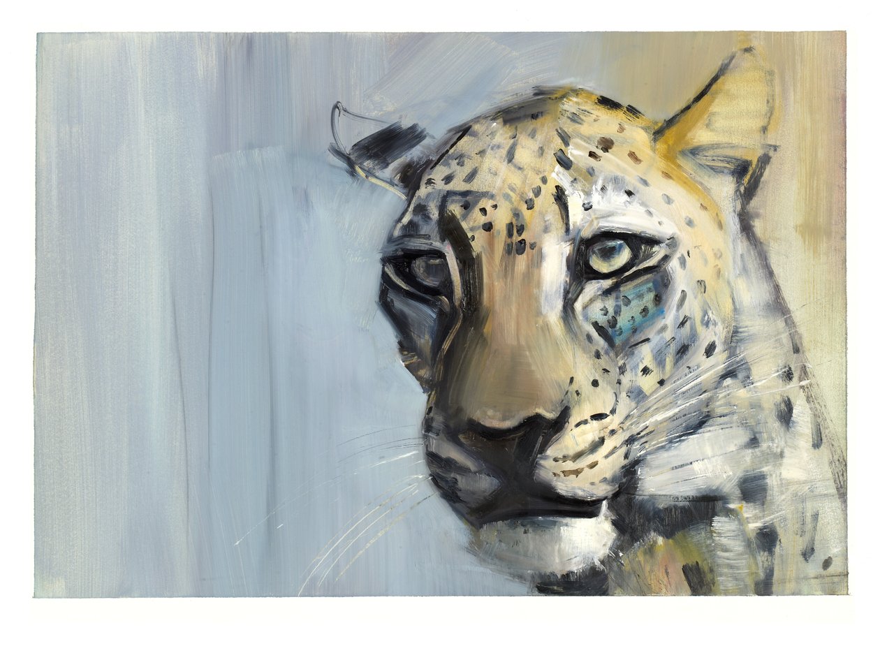 Predator (leopard arabski), 2009 (olej na papierze) autorstwa Mark Adlington