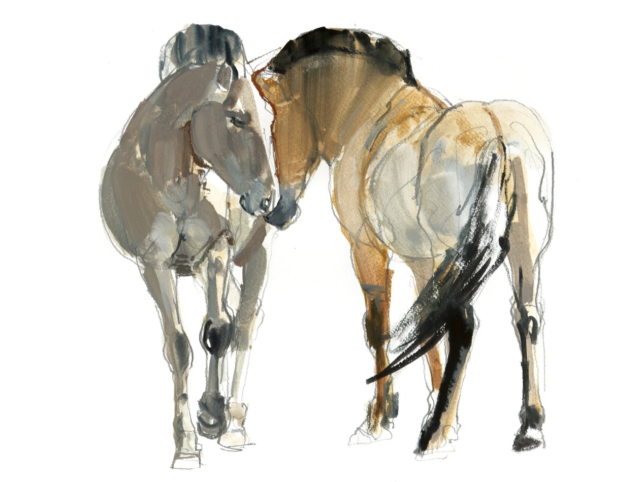 Rencontre (Przewalski), 2013, (akwarela i pigment na papierze) autorstwa Mark Adlington