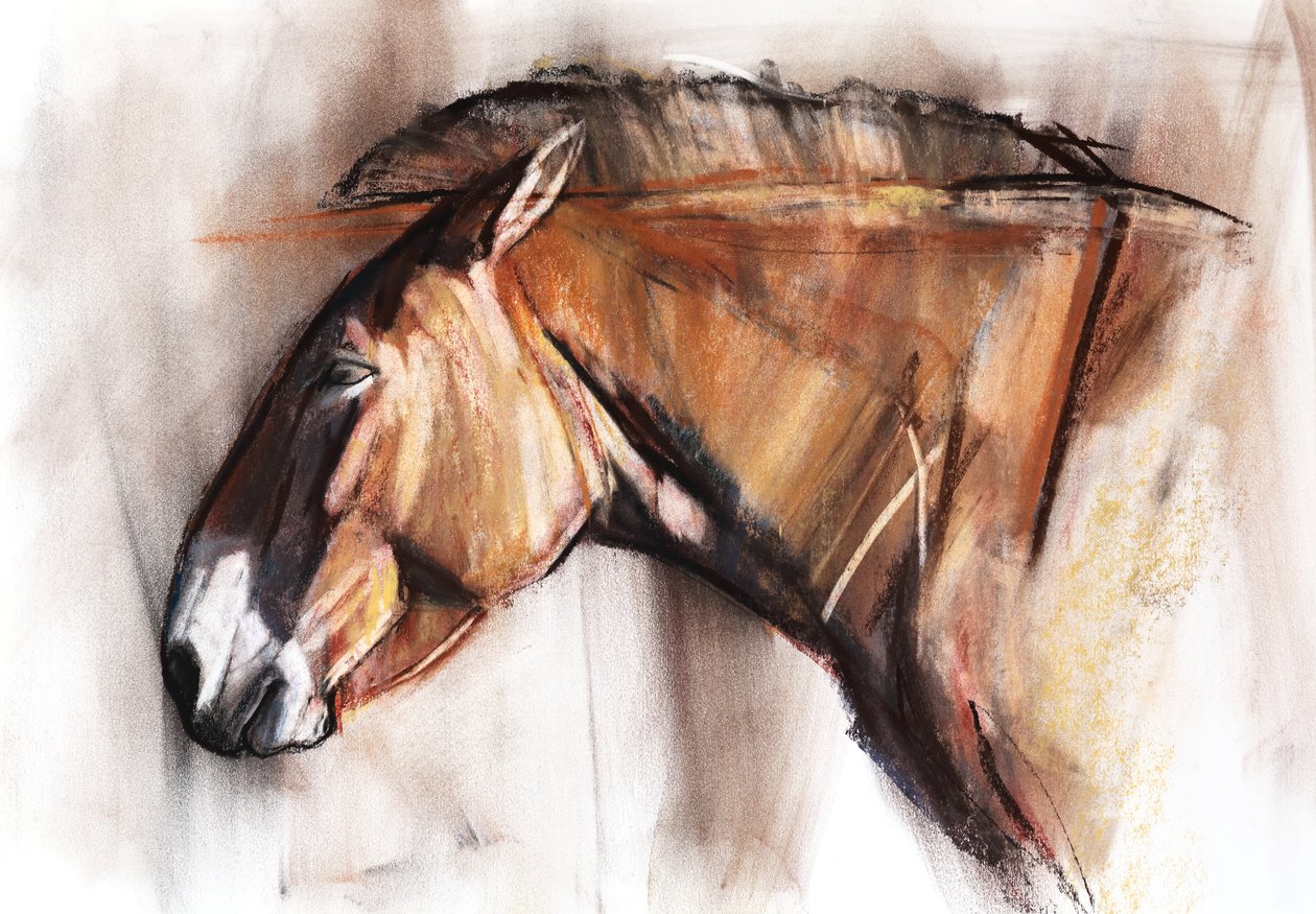 Odpoczywający koń, 2013, (pastel i węgiel na papierze) autorstwa Mark Adlington