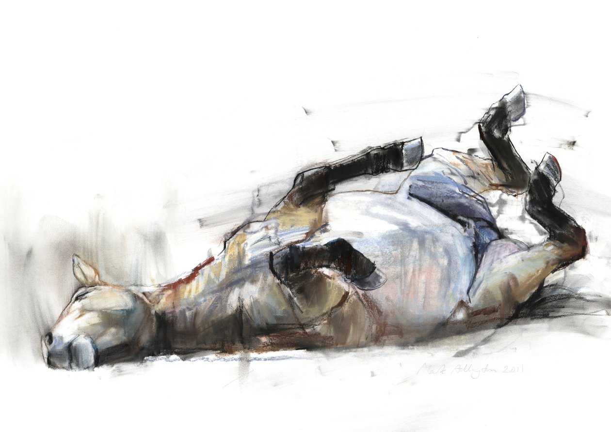 Rolling Rolling, 2011, (węgiel, conté i pastel na papierze) autorstwa Mark Adlington