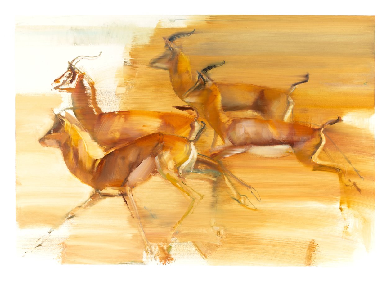 Biegnące Gazele, 2010 (olej na papierze) autorstwa Mark Adlington