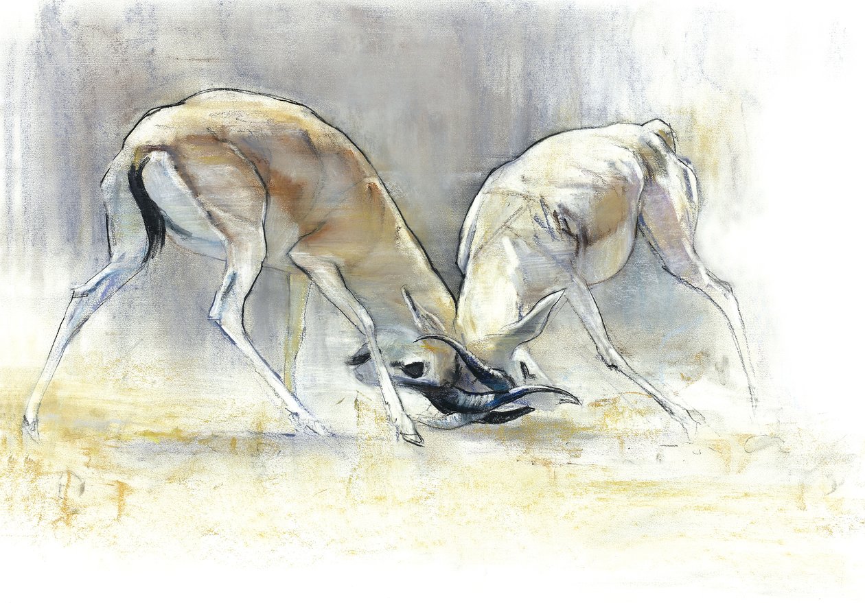 Gazele Piasku, 2009 (conte i węgiel na papierze) autorstwa Mark Adlington