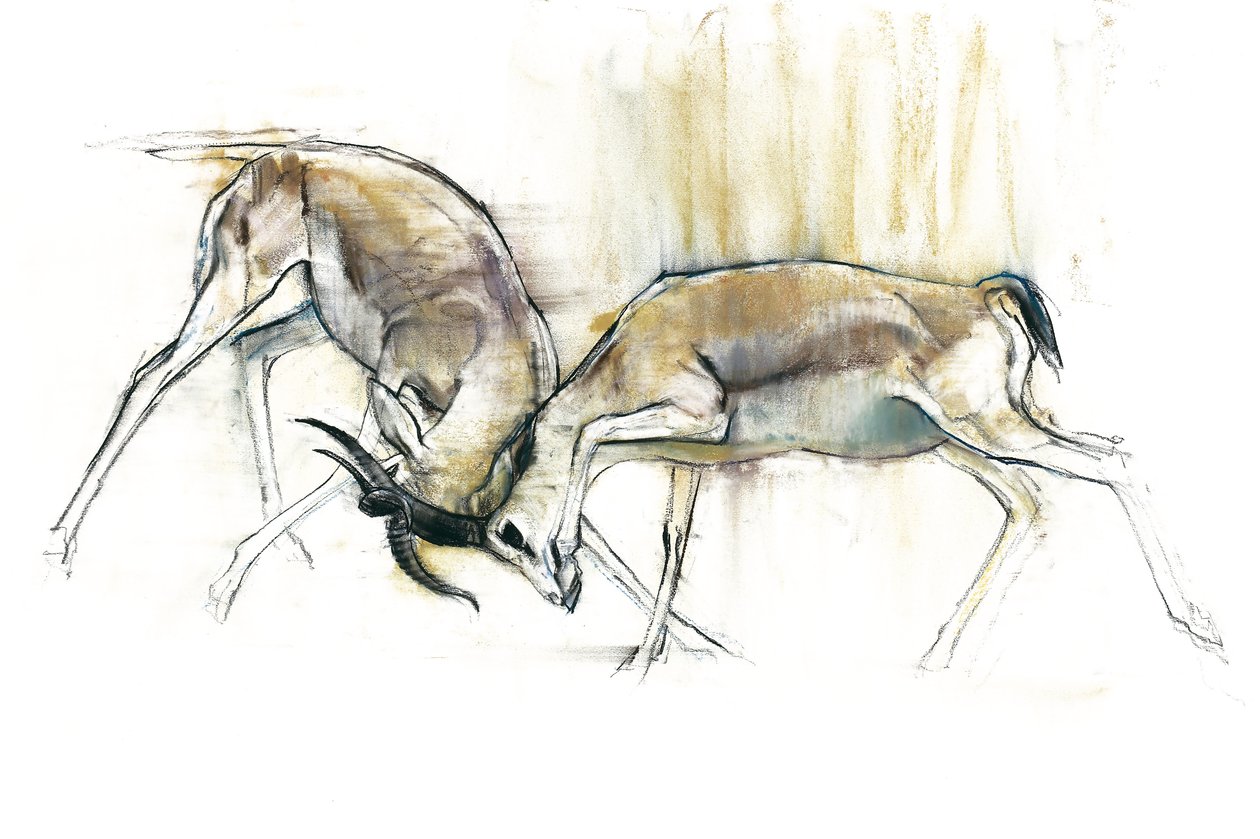 Gazele Piasku, 2009 (conte i węgiel na papierze) autorstwa Mark Adlington