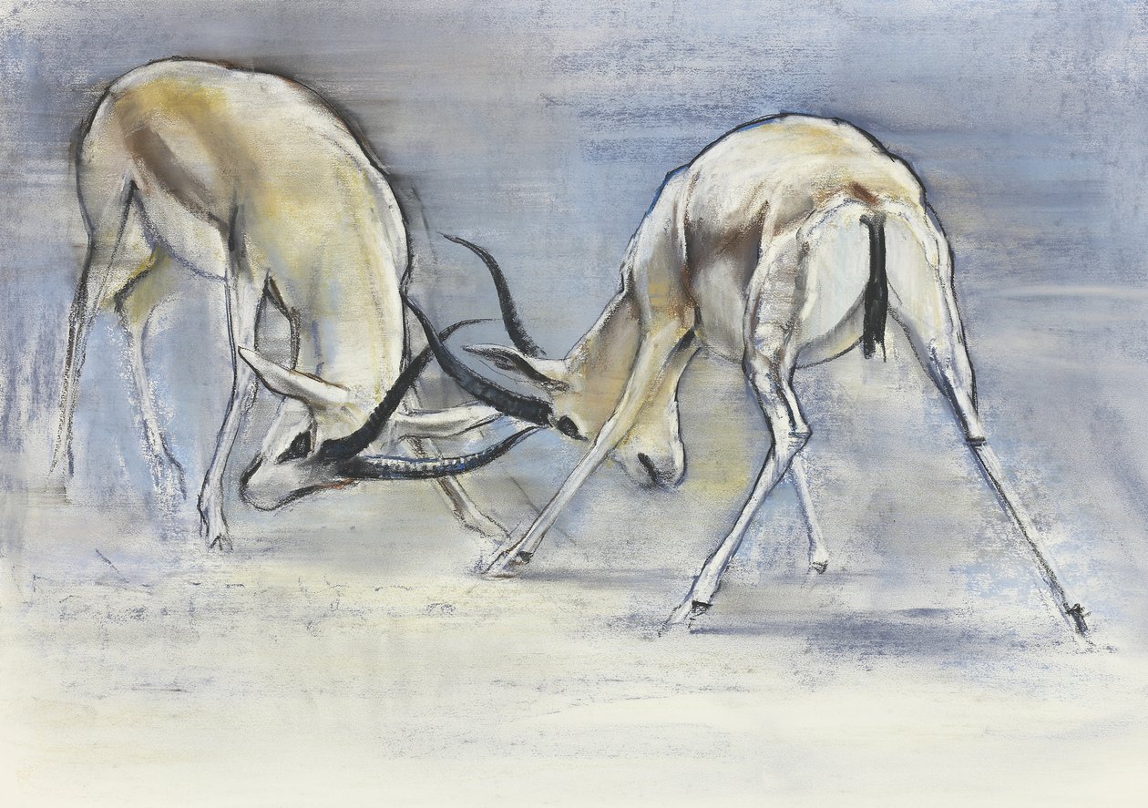Gazele Piasku, 2009 (conte i węgiel na papierze) autorstwa Mark Adlington