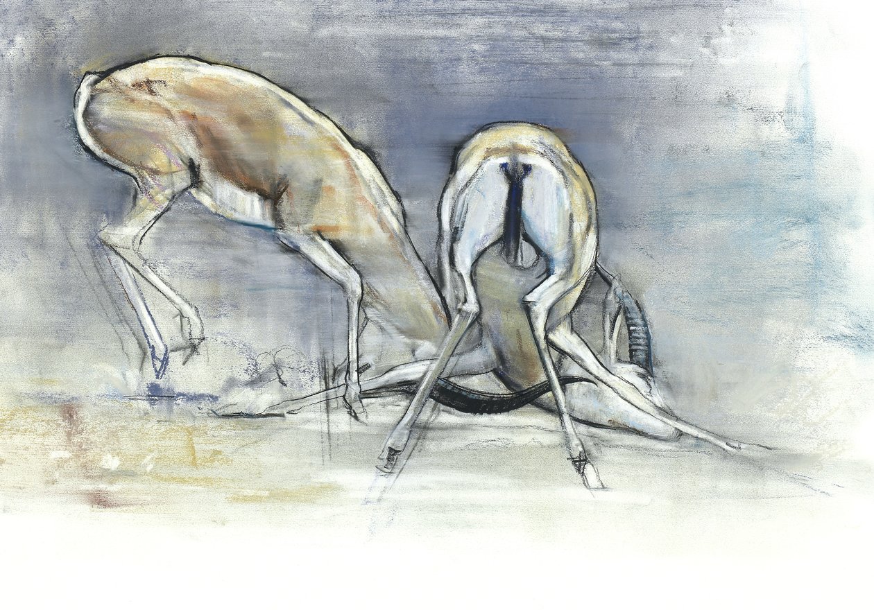 Gazele Piasku, 2009 (conte i węgiel na papierze) autorstwa Mark Adlington