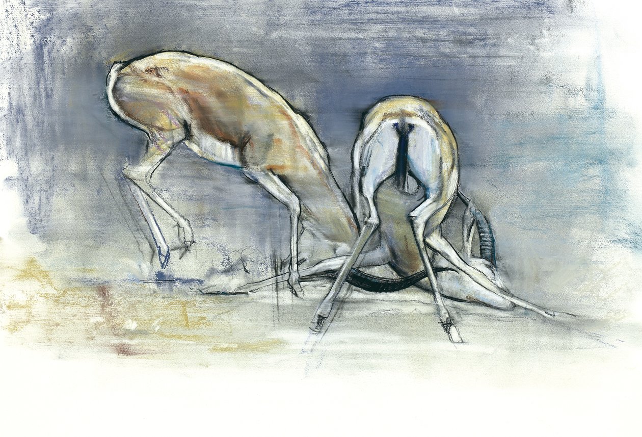 Gazele Piasku, 2009 (conte i węgiel na papierze) autorstwa Mark Adlington