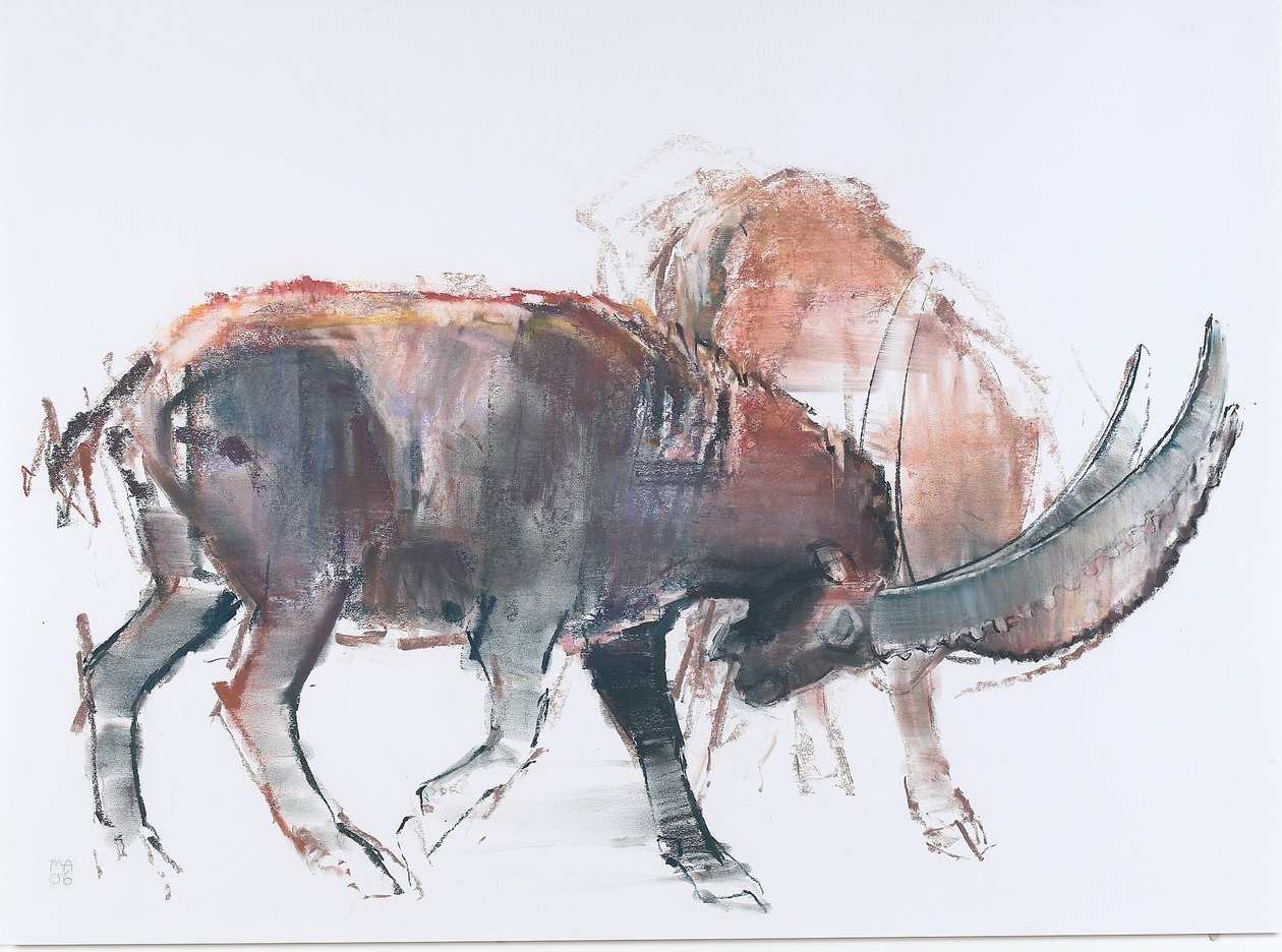 Scimitar, 2006 (węgiel i conte na papierze) autorstwa Mark Adlington