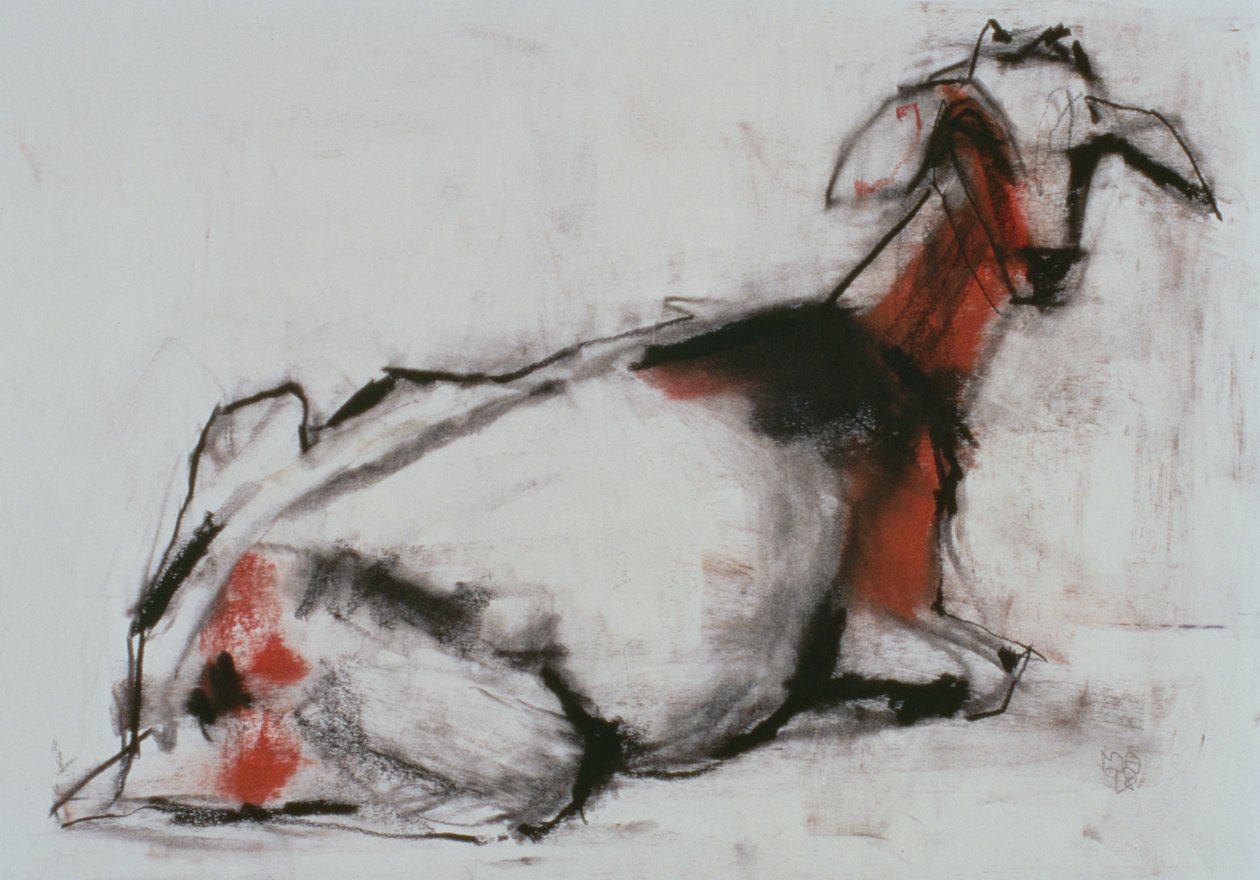 Siedząca Koza, 1998 (conte i węgiel na papierze) autorstwa Mark Adlington