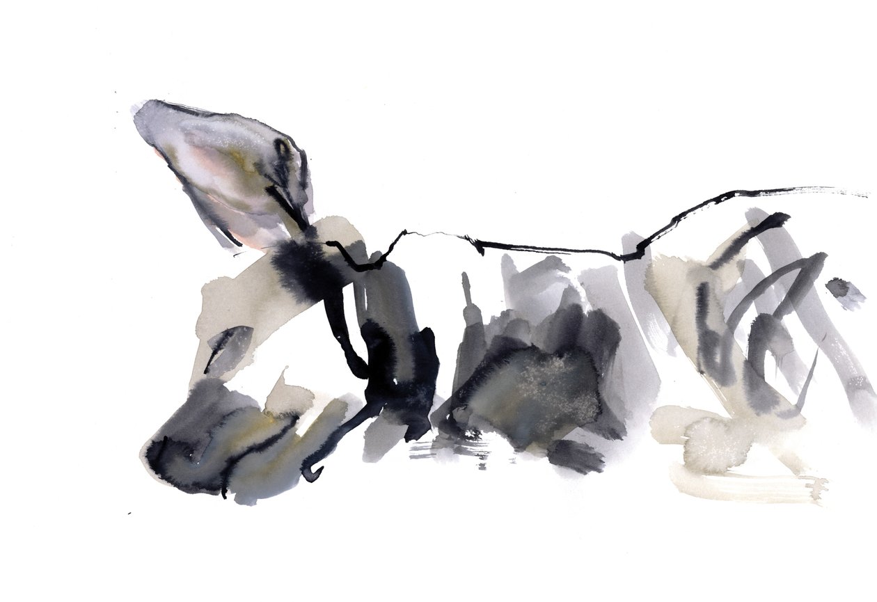 Śpiąca hiena, 2010, (akwarela na papierze) autorstwa Mark Adlington