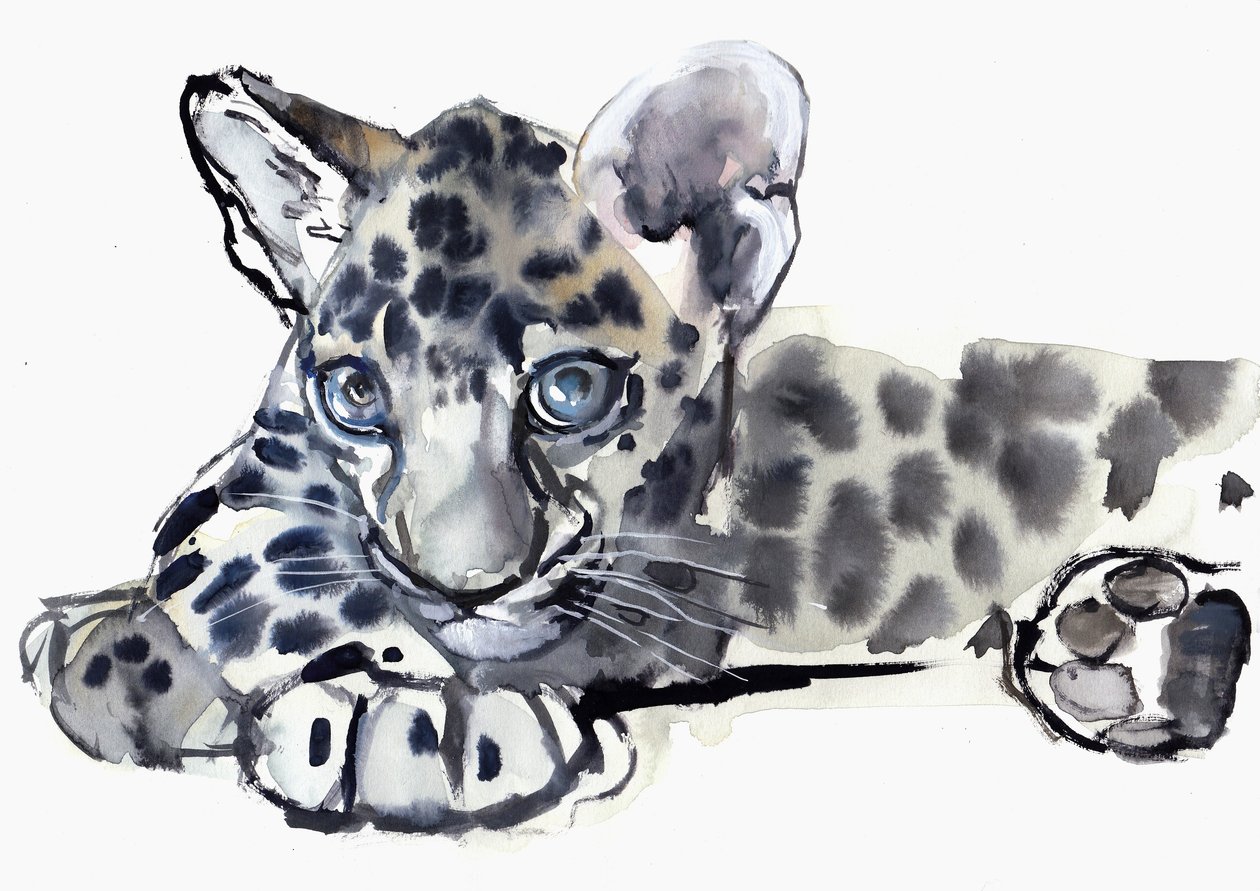 Spotty (lampart arabski), 2008 autorstwa Mark Adlington