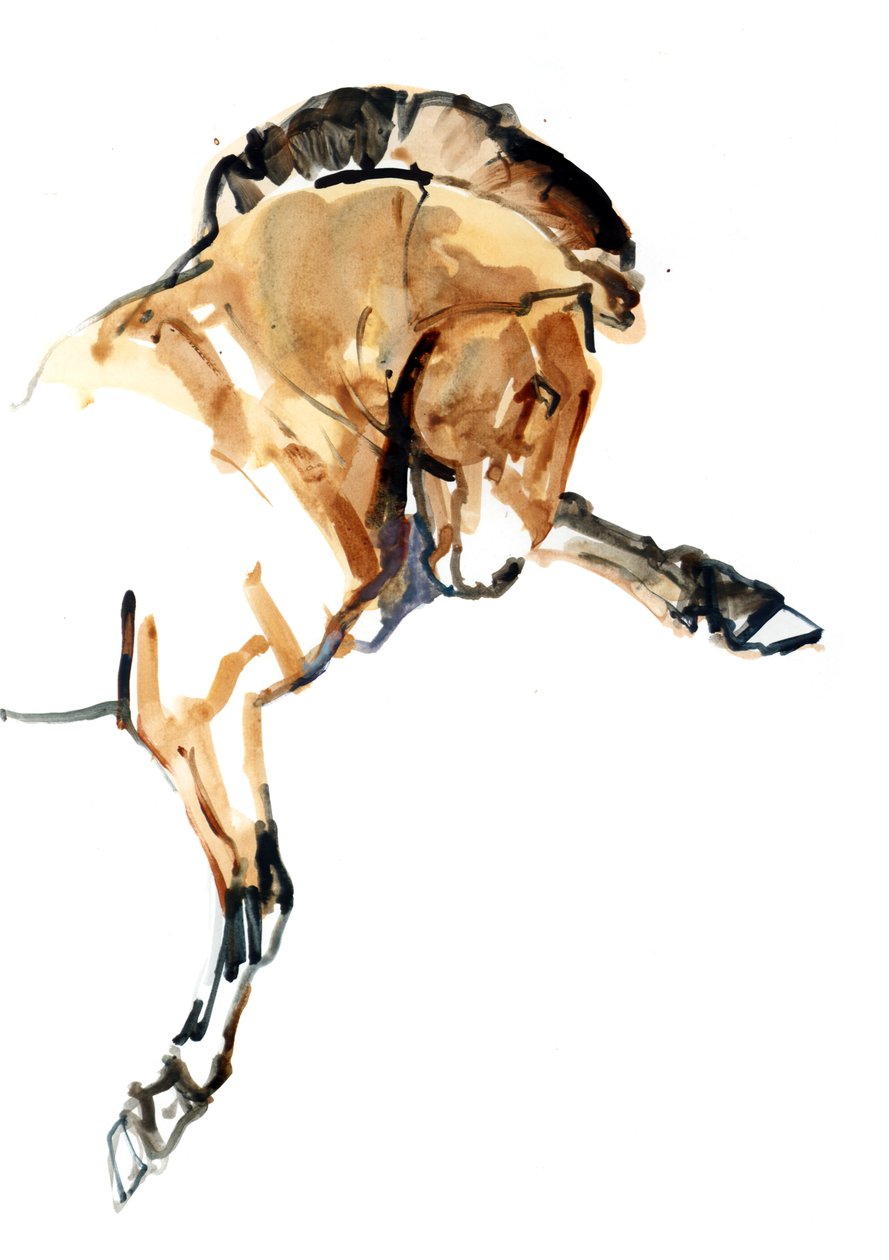 Ogier (Przewalski), 2013 (tusz Sennelier, akwarela i gwasz) autorstwa Mark Adlington
