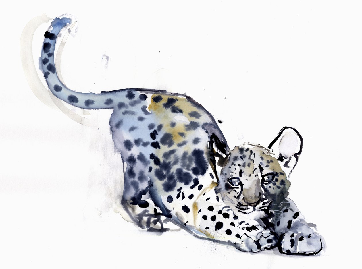 Rozciągający się młody (leopard arabski), 2008 autorstwa Mark Adlington
