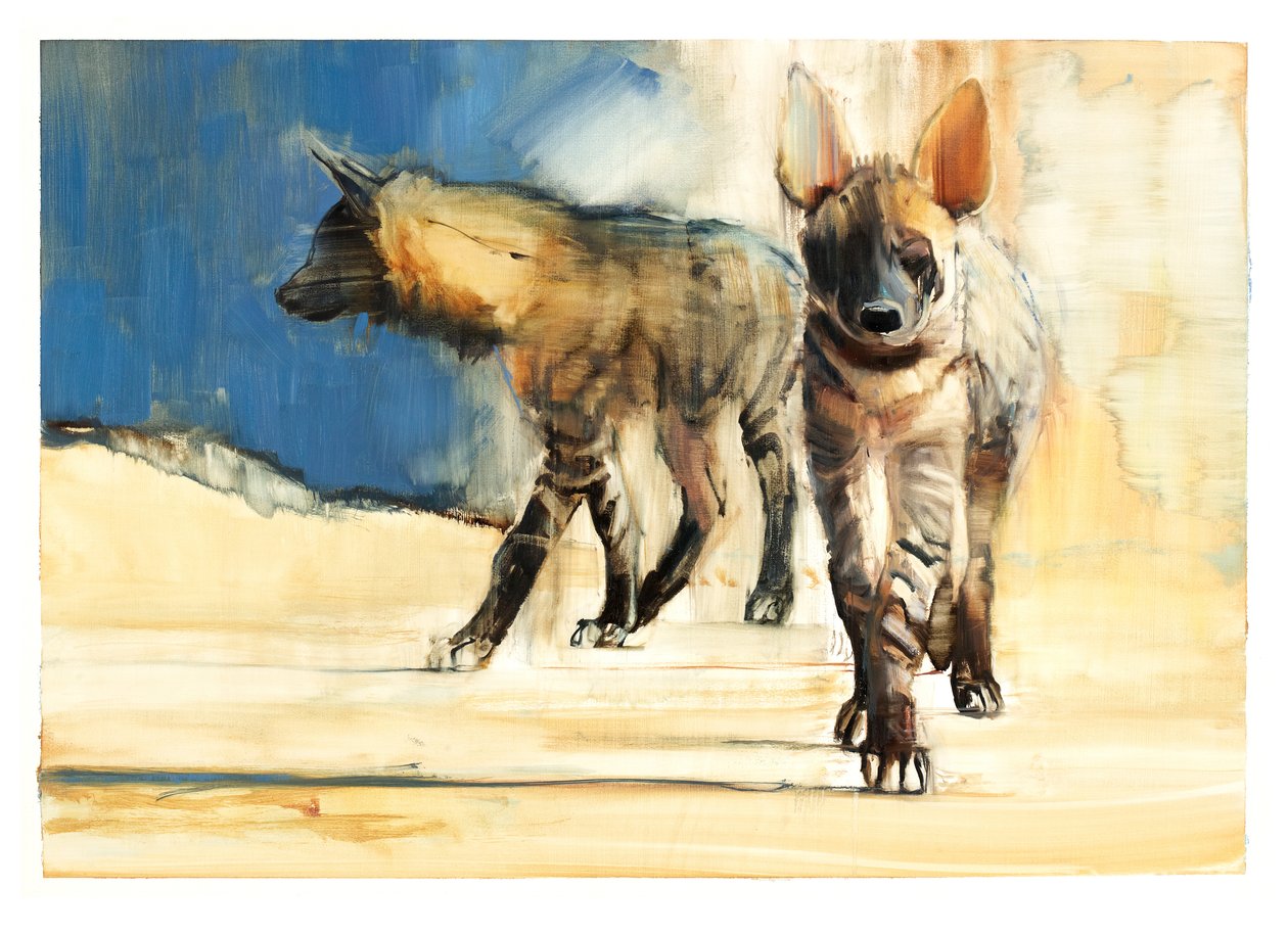 Hiena pręgowana, 2010 (olej na papierze) autorstwa Mark Adlington