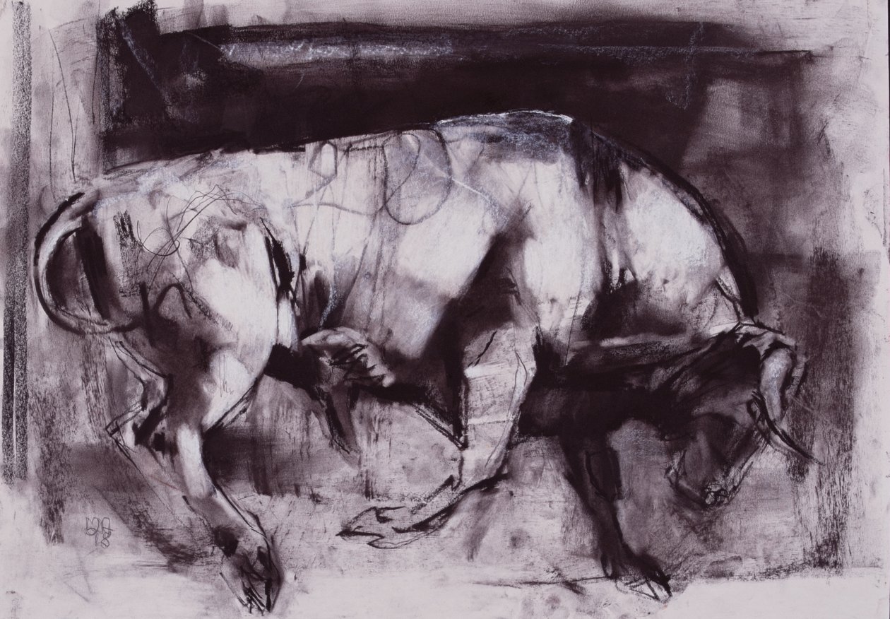Biały byk (badanie), 1998 (węgiel na papierze) autorstwa Mark Adlington