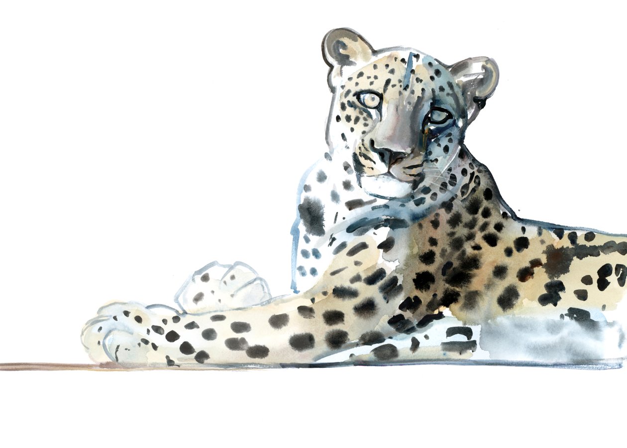 Tilt (leopard arabski), 2015, (akwarela i gwasz na papierze) autorstwa Mark Adlington