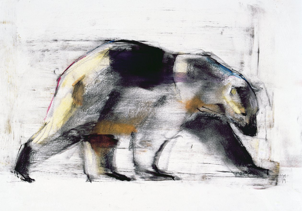 Ursus Maritimus, 1999 (węgiel i conte na papierze) autorstwa Mark Adlington